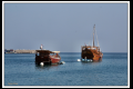 Oman (5).jpg